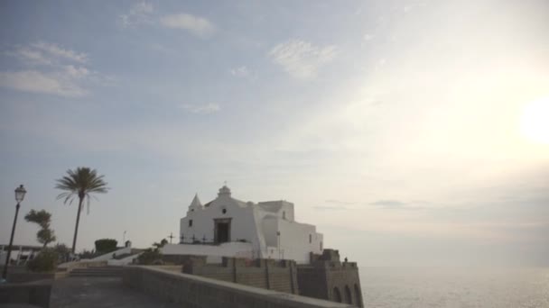 Edifício branco com palmeira — Vídeo de Stock