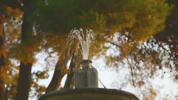 Écoulement de l'eau dans la fontaine — Video