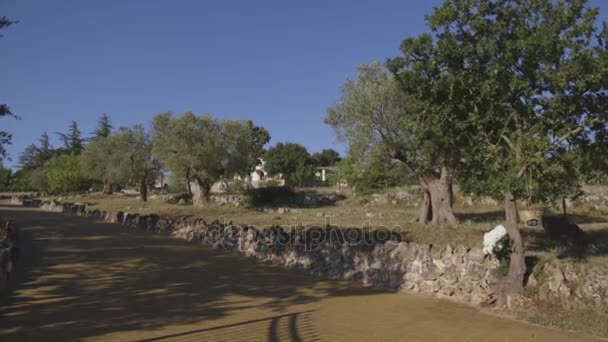 Camino de campo con muro de piedra — Vídeos de Stock