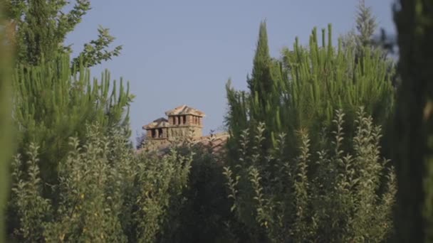 Bâtiment derrière les arbres oscillants — Video