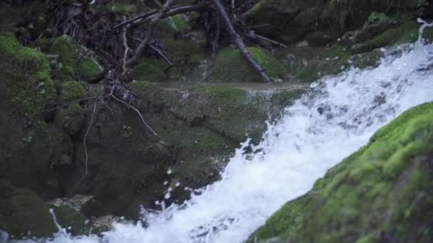 Fluxo que desce a montanha — Vídeo de Stock