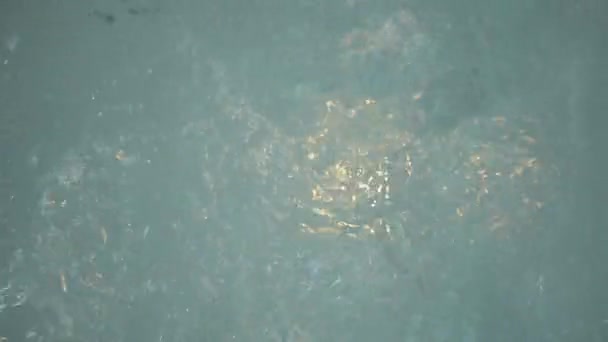 Кипіння води в басейні — стокове відео