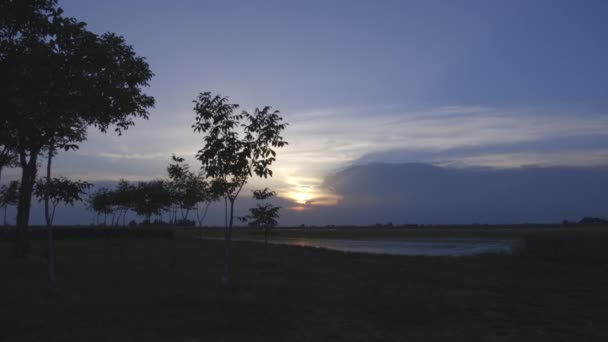 Vista de paisagem de árvores à noite — Vídeo de Stock