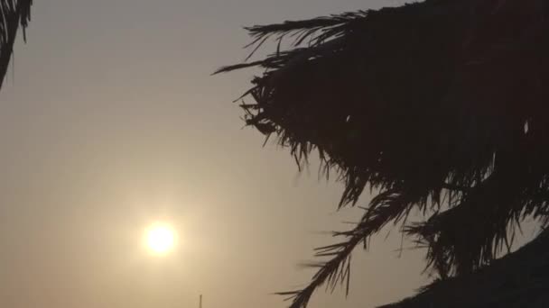 Tropický letní slunce — Stock video