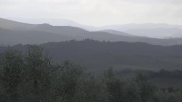 Árboles en colinas y montañas en la distancia — Vídeos de Stock