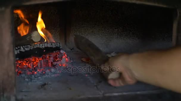 Chef putting log in the oven — Stock Video