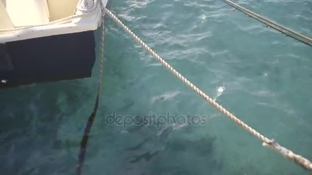 Barco amarrado no porto — Vídeo de Stock