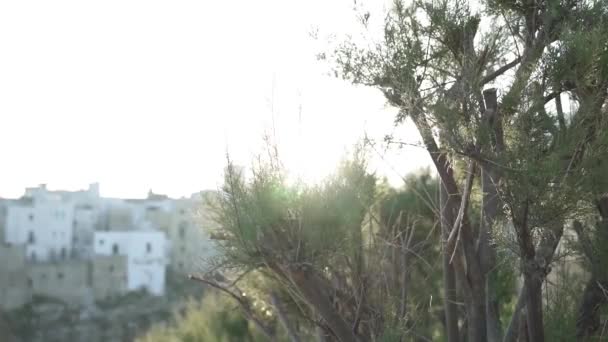 Edificios en polignano ciudad — Vídeos de Stock