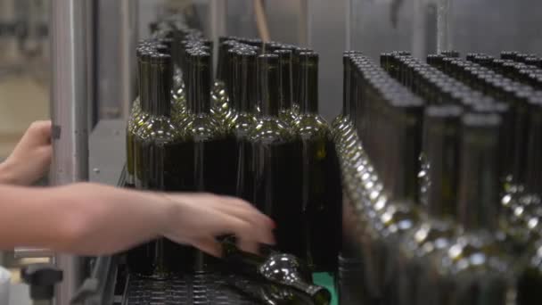 Řada skleněných botles — Stock video