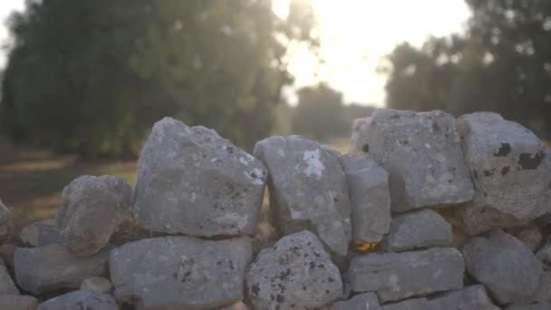 Pared de piedra seca — Vídeos de Stock