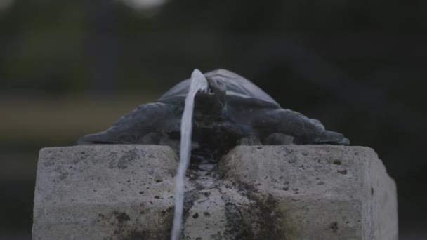 Wasser fließt in Springbrunnen — Stockvideo