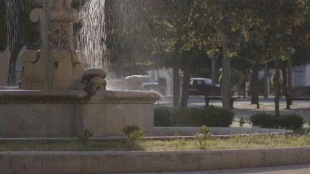 Flujos de agua en la fuente — Vídeo de stock