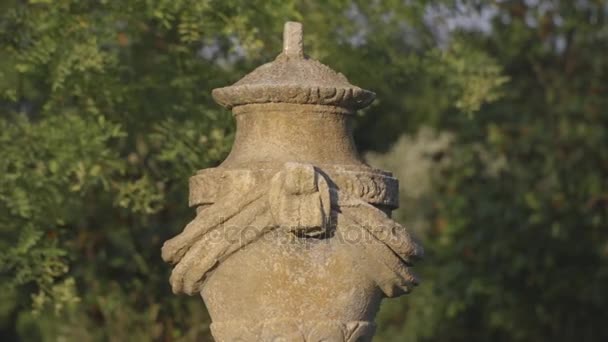 Vaso decorativo in pietra italiana — Video Stock