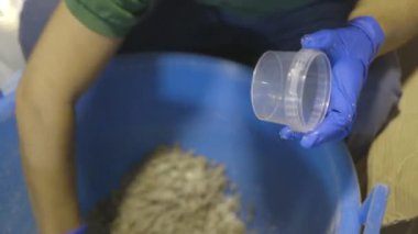 Kapari Tuzlama kişi