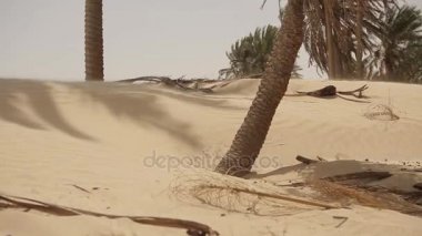 Sahra Çölü görünümünü 
