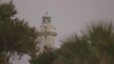 Taranto ağaçların arasında deniz feneri