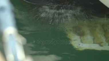 suda başlayan Motorlu tekne