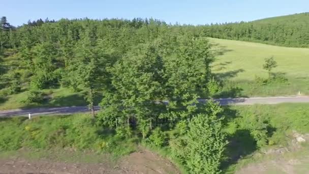 Motociclista em moto andando na estrada da floresta — Vídeo de Stock