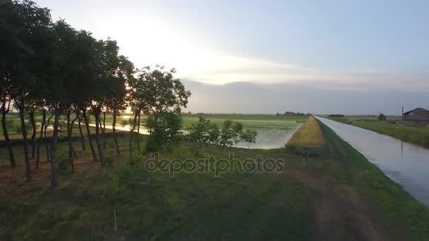 Pirinç tarlaları Po Nehri — Stok video