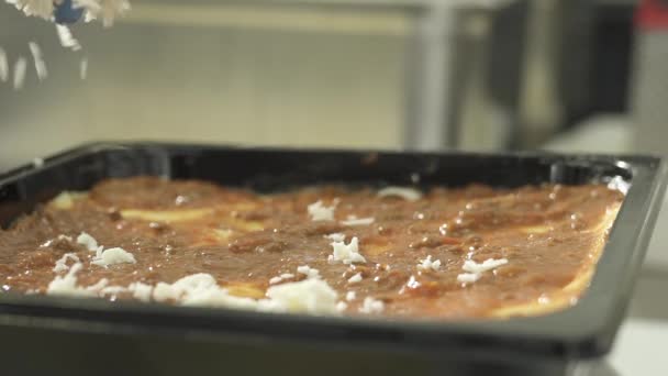 Persona poniendo queso en la lasaña — Vídeos de Stock