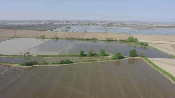 Сельское хозяйство с водой — стоковое видео