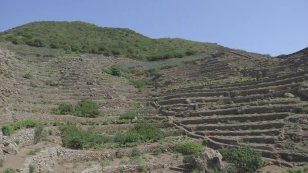 Campos verdes en las colinas — Vídeos de Stock