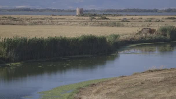 Vista maravilhosa do lago — Vídeo de Stock