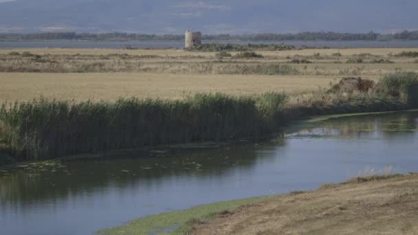 Maravillosa vista del lago — Vídeos de Stock