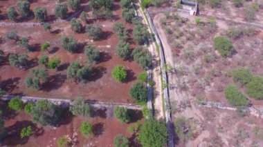 Kırsal yol koşucuların ile