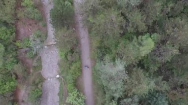 Genç turist orman yolu yürüyüş