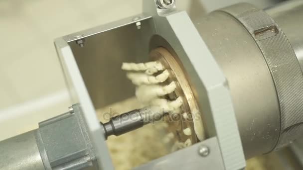 Pasta fabricage apparatuur — Stockvideo