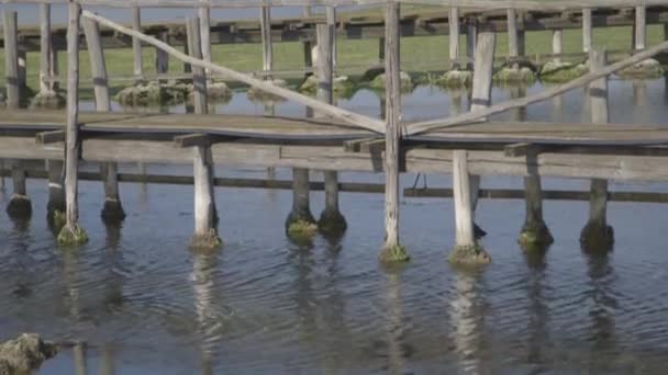 Puente de madera en Ponte di Legno — Vídeos de Stock