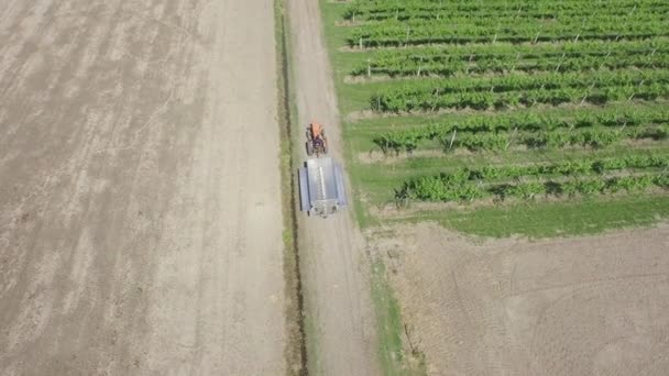 Agrimoteur sur champ de raisin vert — Video