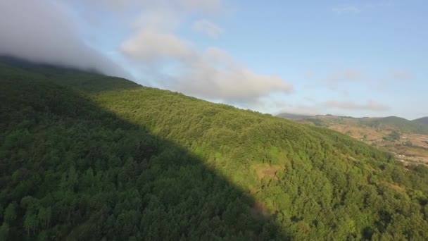 Green hills in Basilicata — Stock Video