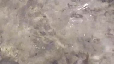 Güneşli bir yaz boyunca akan deniz su yüzeyine yakın çekim