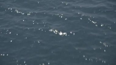 Deniz yüzeyindeki güneş ışığı