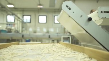 makarna üretim donanımları