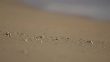 kum plajı üzerinde inişli çıkışlı dalgalar deniz, yakın çekim 