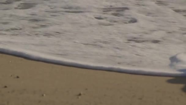 Primo Piano Delle Onde Che Rotolano Sulla Spiaggia Sabbiosa — Video Stock