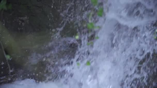 Primo Piano Del Torrente Montagna Che Scorre Rallentatore — Video Stock