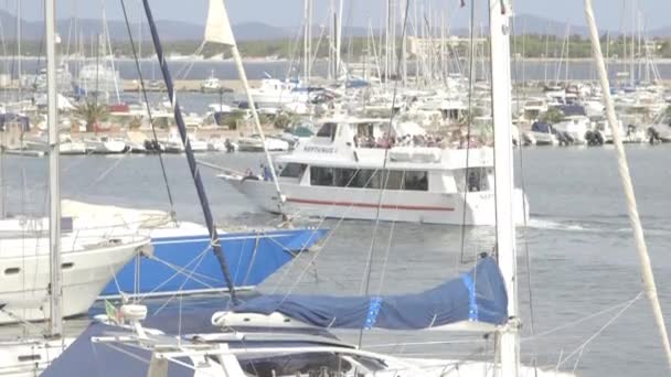 Havn Med Både Lystbåde Med Folk Der Sejler Turistfærge – Stock-video
