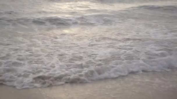 Onde che rotolano sulla spiaggia — Video Stock