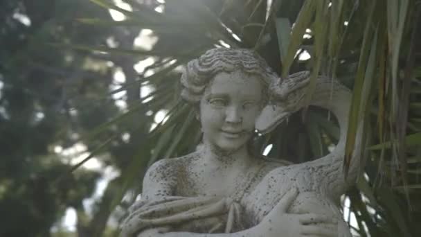 庭で白鳥を保持している女性像のクローズ アップ — ストック動画