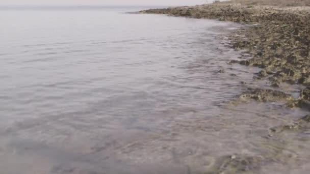 Ripresa Del Mare Spruzzi Acqua Sulla Spiaggia Sera — Video Stock