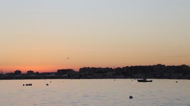 Aufnahme Des Hafens Einer Kleinstadt Apulien Italien Bei Sonnenuntergang — Stockvideo