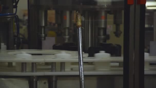 Otomatik Konveyör Bant Sanayi Üretim — Stok video