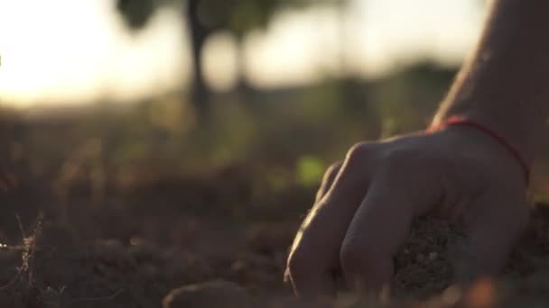 Nahaufnahme Eines Männlichen Haufens Ackerboden Der Hand — Stockvideo