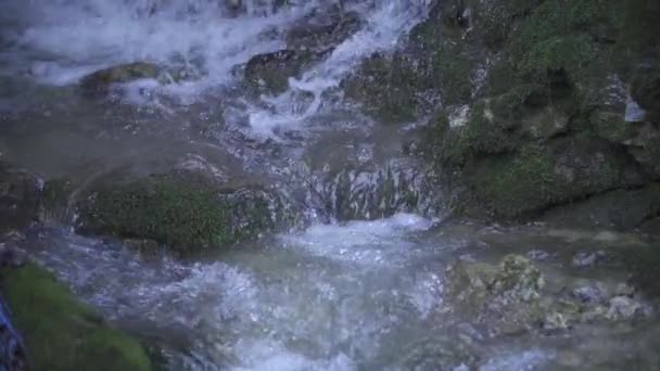 Primo Piano Del Torrente Montagna Che Scorre Rallentatore — Video Stock