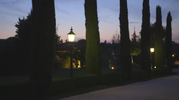 Passarela Forrada Com Ciprestes Lanternas Noite — Vídeo de Stock