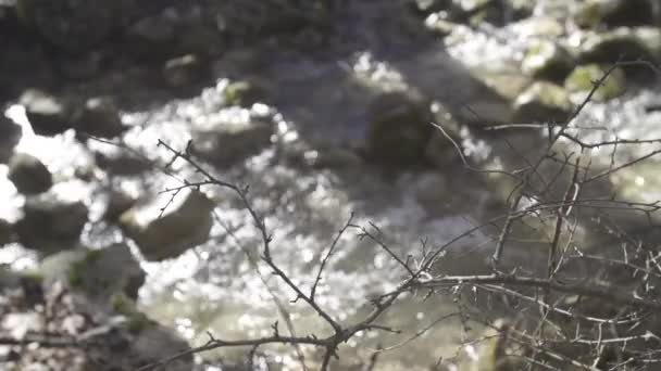 スローモーションで流れる渓流のクローズ アップ — ストック動画